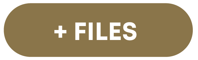btns files